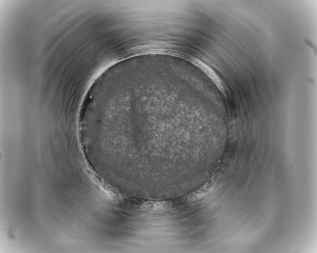 X0000095531051200712281518