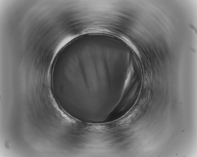 X0000095531053200712281518