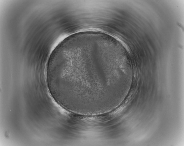 X0000095531054200712281518