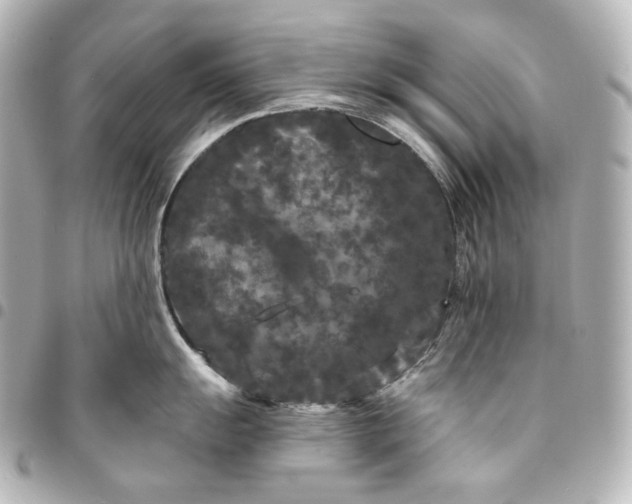 X0000095531055200712281518