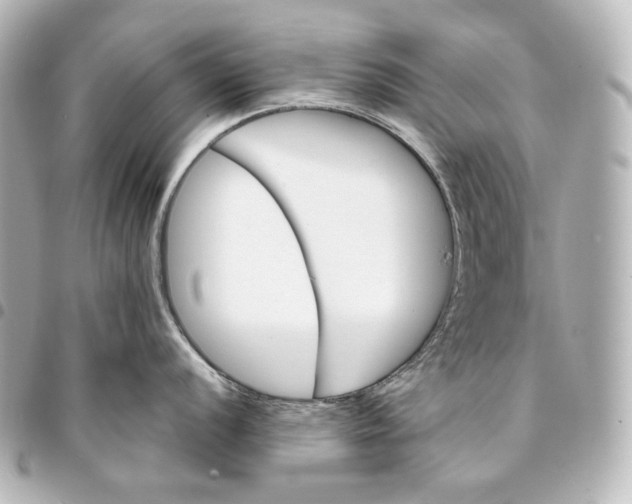 X0000095531056200712281518