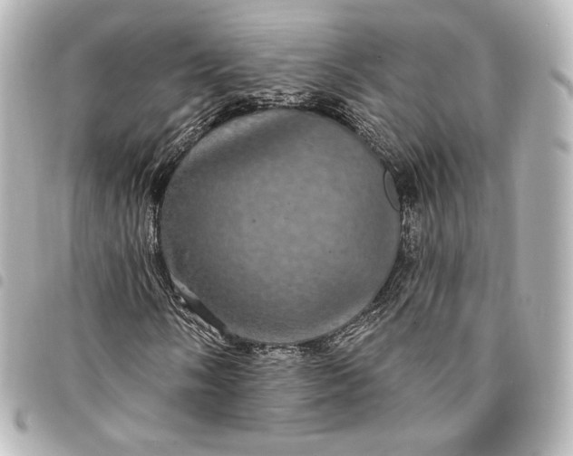 X0000095531058200712281517