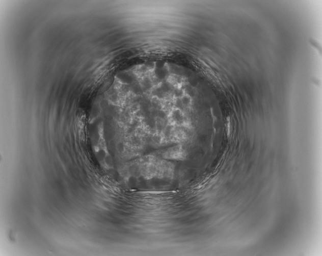 X0000095531059200712281517
