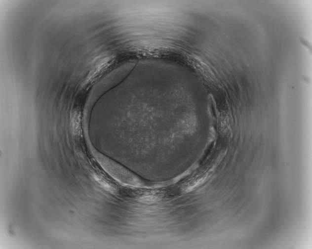 X0000095531060200712281517