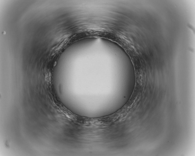 X0000095531061200712281517