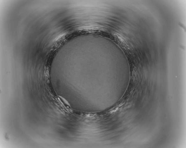 X0000095531062200712281517