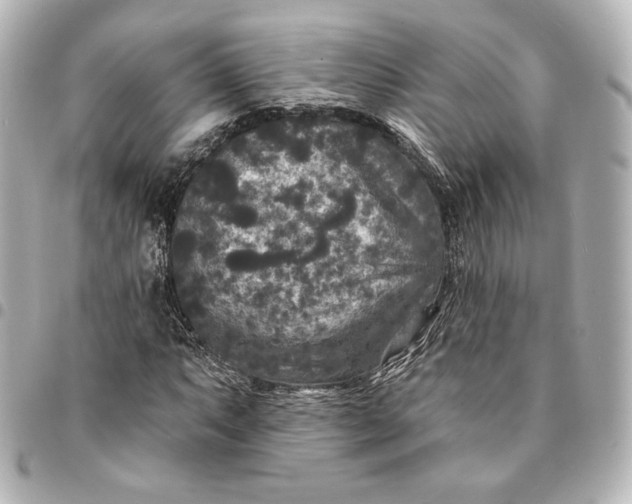 X0000095531063200712281517