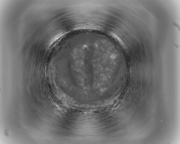 X0000095531064200712281517