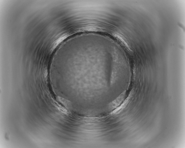 X0000095531065200712281517