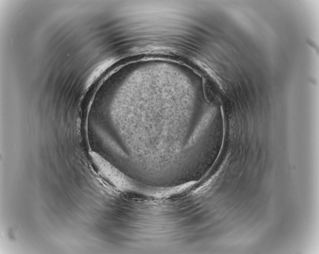 X0000095531066200712281517