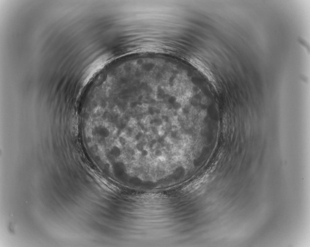 X0000095531067200712281517