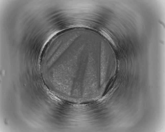 X0000095531068200712281517