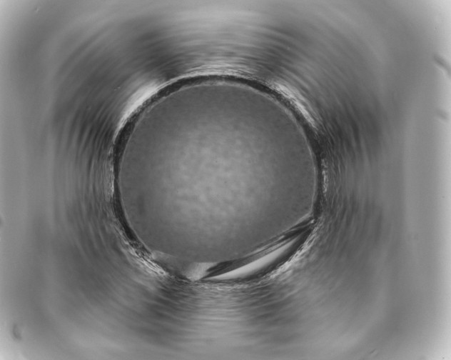 X0000095531069200712281517
