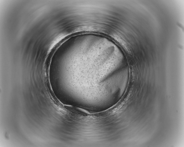 X0000095531070200712281517