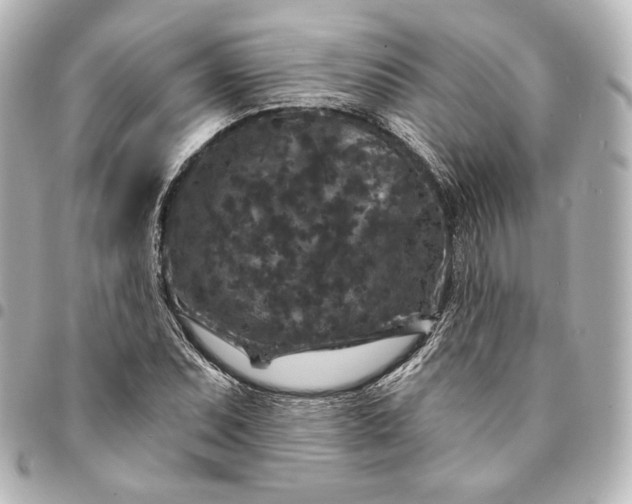 X0000095531071200712281517