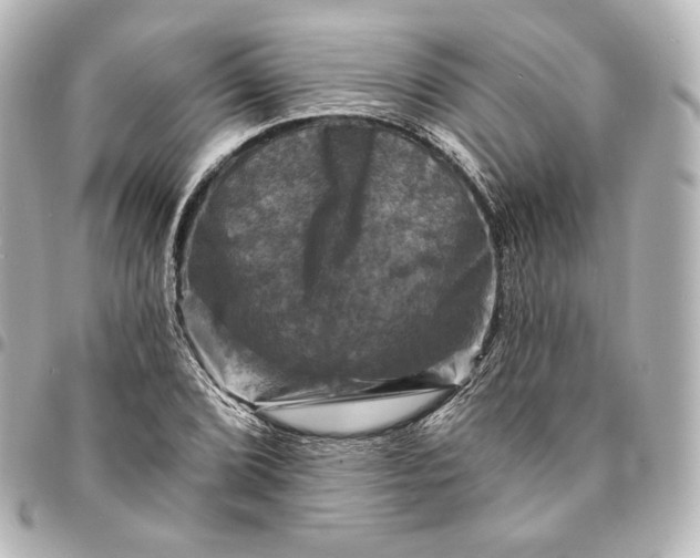 X0000095531072200712281517