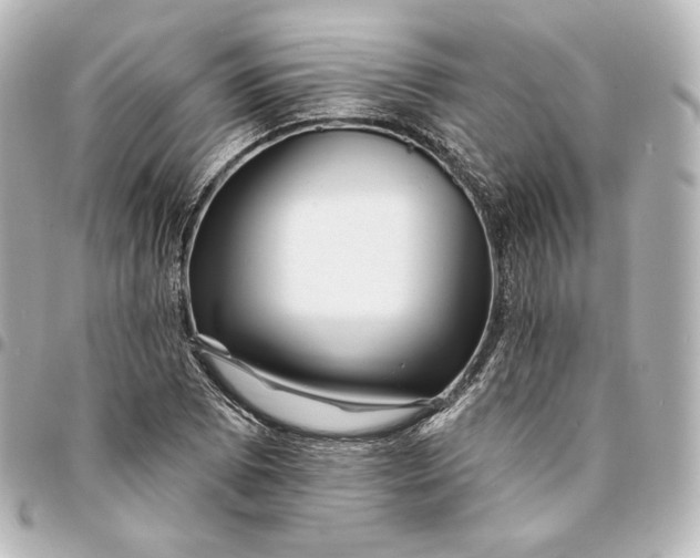 X0000095531073200712281517