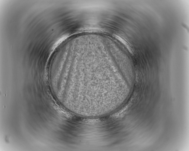 X0000095531074200712281517