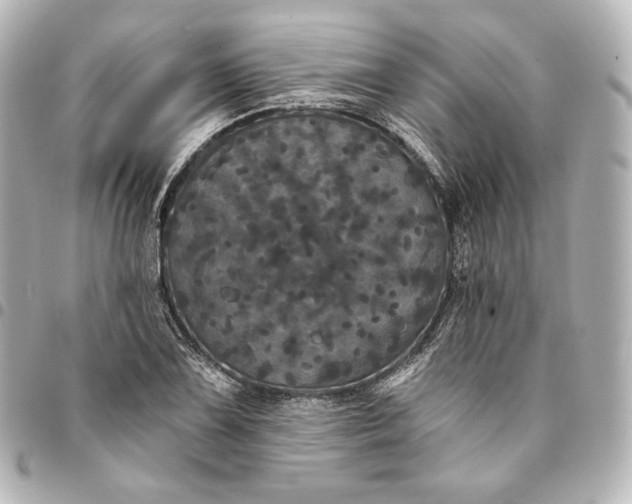 X0000095531075200712281517