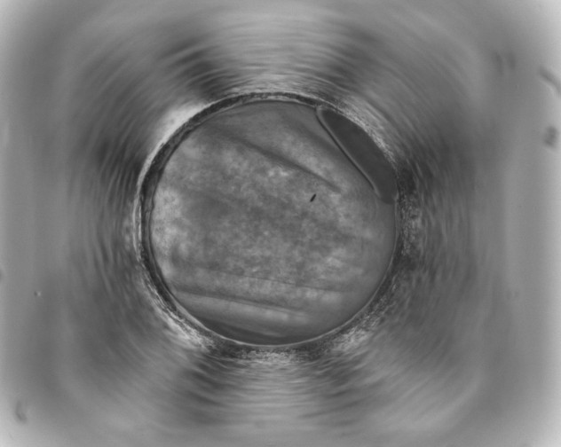 X0000095531076200712281517