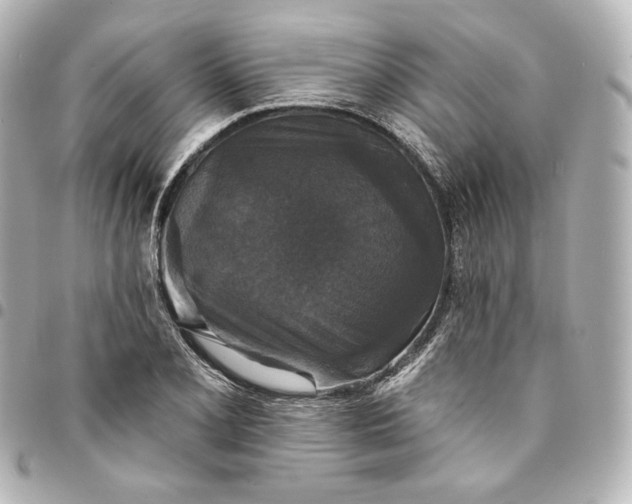 X0000095531077200712281517
