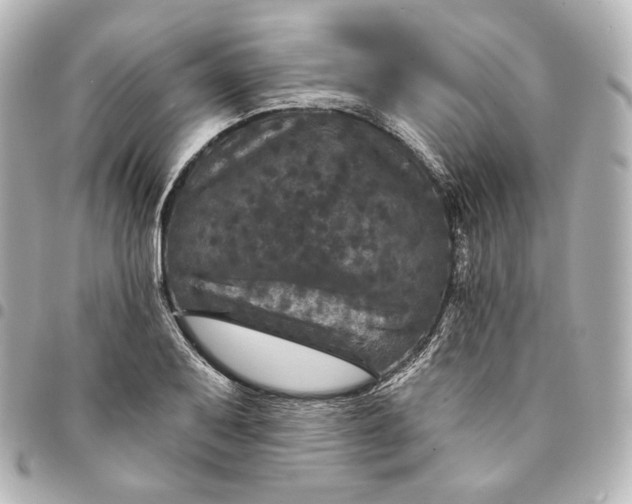 X0000095531079200712281517