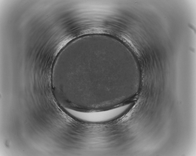 X0000095531081200712281517