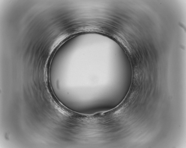 X0000095531082200712281517