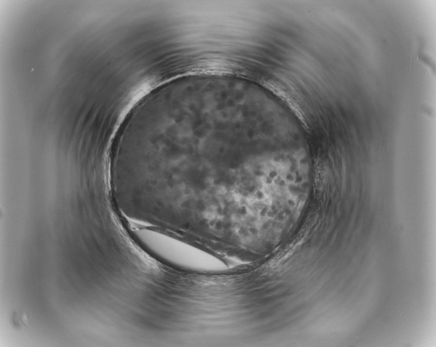 X0000095531083200712281517