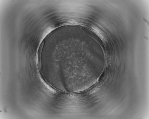 X0000095531084200712281517