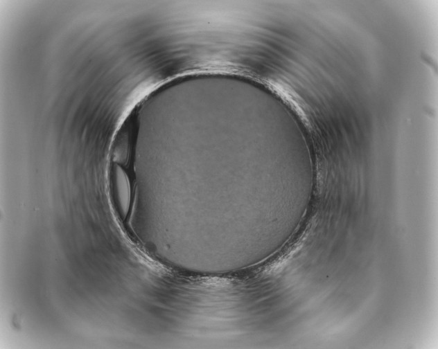 X0000095531085200712281517