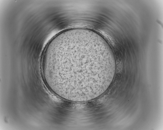 X0000095531086200712281517