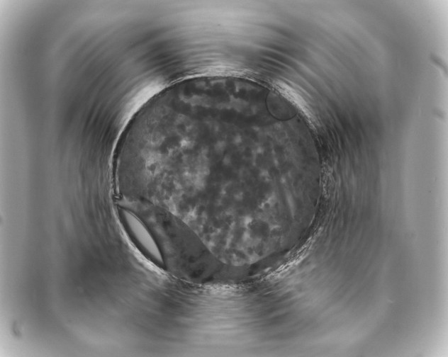X0000095531087200712281517