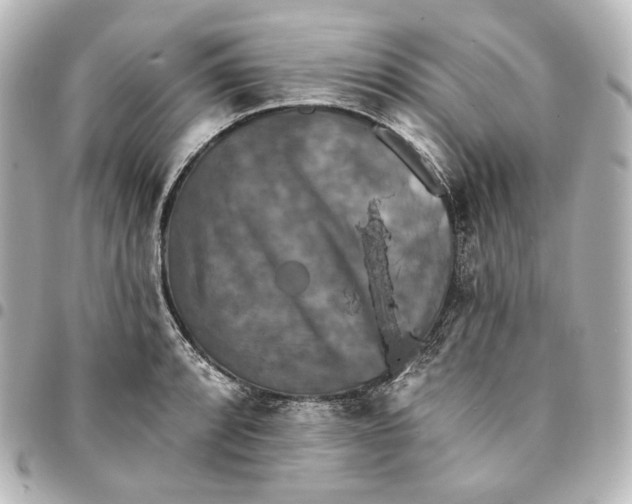 X0000095531088200712281517