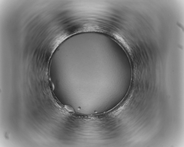 X0000095531089200712281517