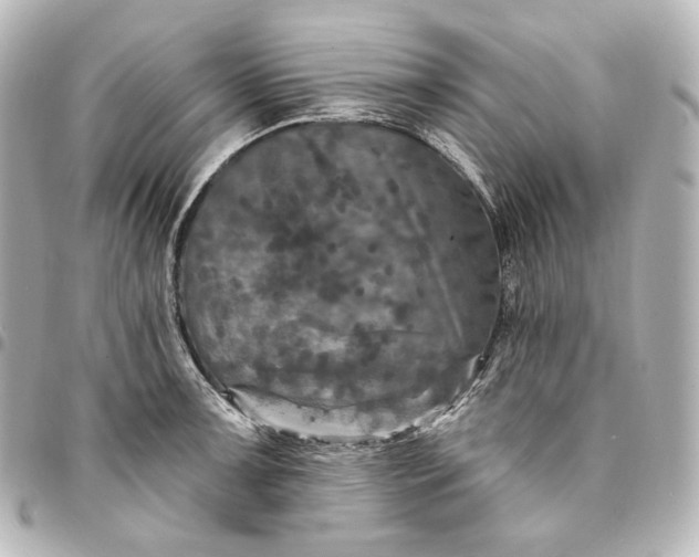 X0000095531091200712281517