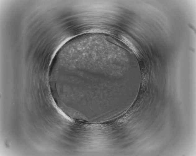 X0000095531092200712281517