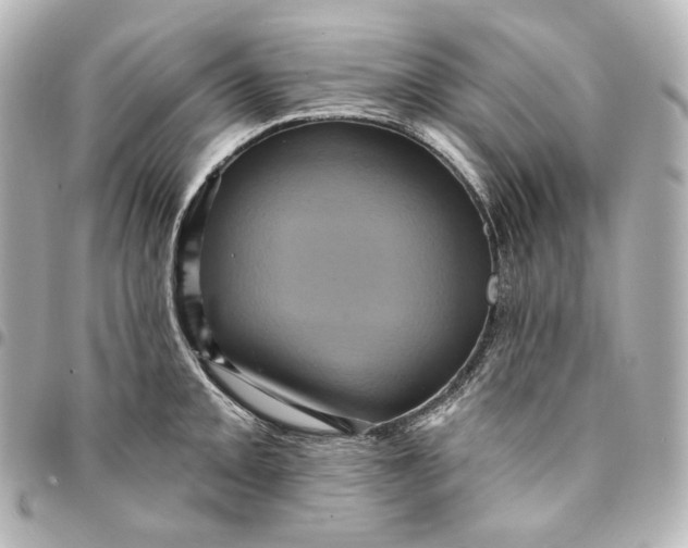 X0000095531093200712281517