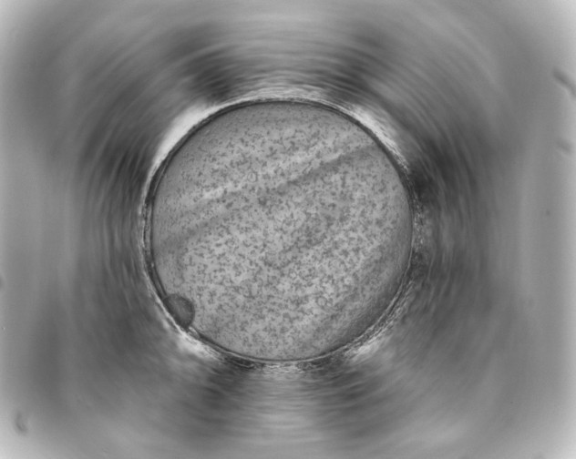 X0000095531094200712281517