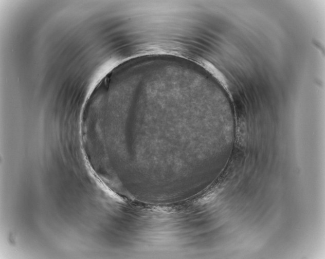 X0000095531096200712281517