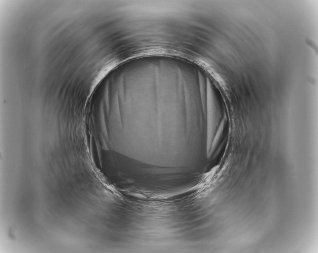 X0000095531097200712281517