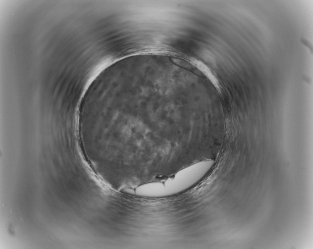 X0000095531099200712281517
