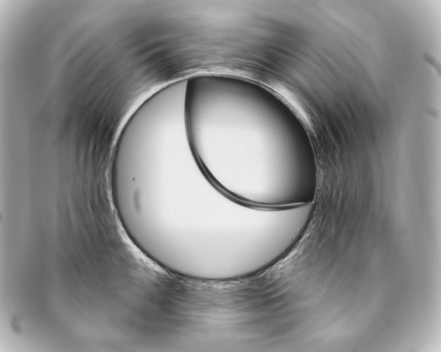 X0000095531100200712281517