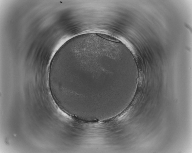 X0000095531102200712281517