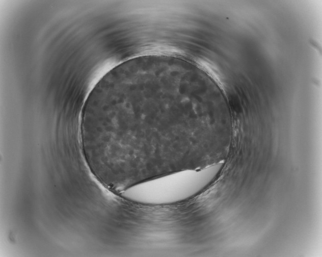 X0000095531103200712281517