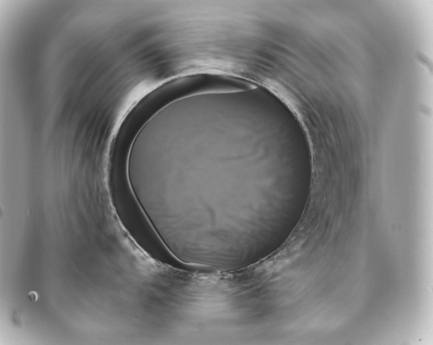 X0000095531104200712281517