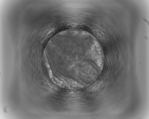 X0000095531105200712281516