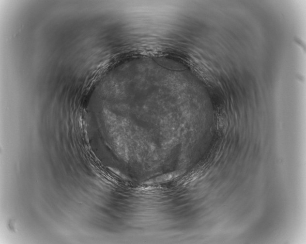 X0000095531106200712281516