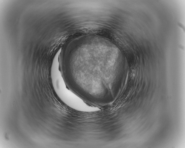 X0000095531108200712281516