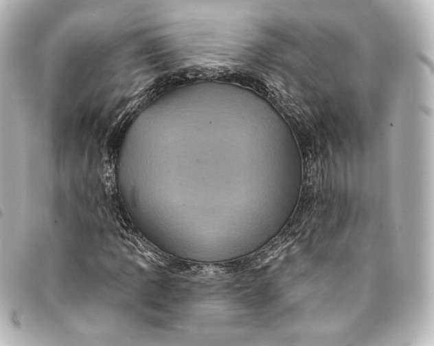 X0000095531109200712281516